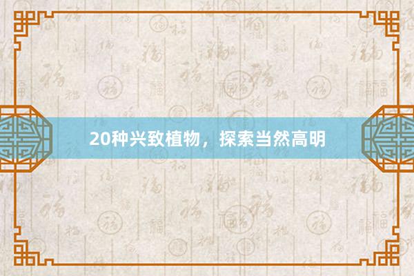 20种兴致植物，探索当然高明